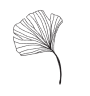 Flower Shape